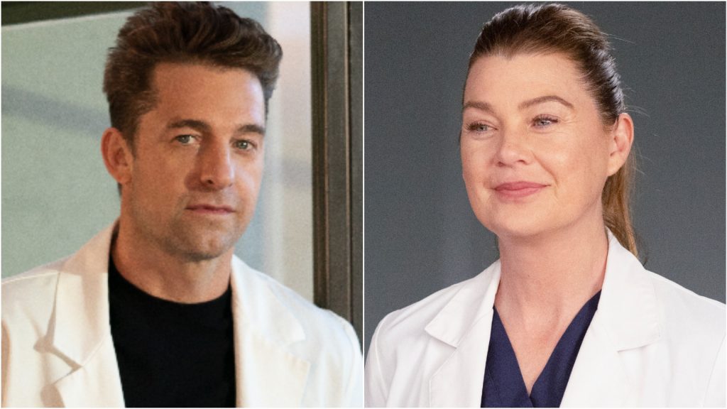 Who Is Meredith Dating In Season 18? Everything We Know