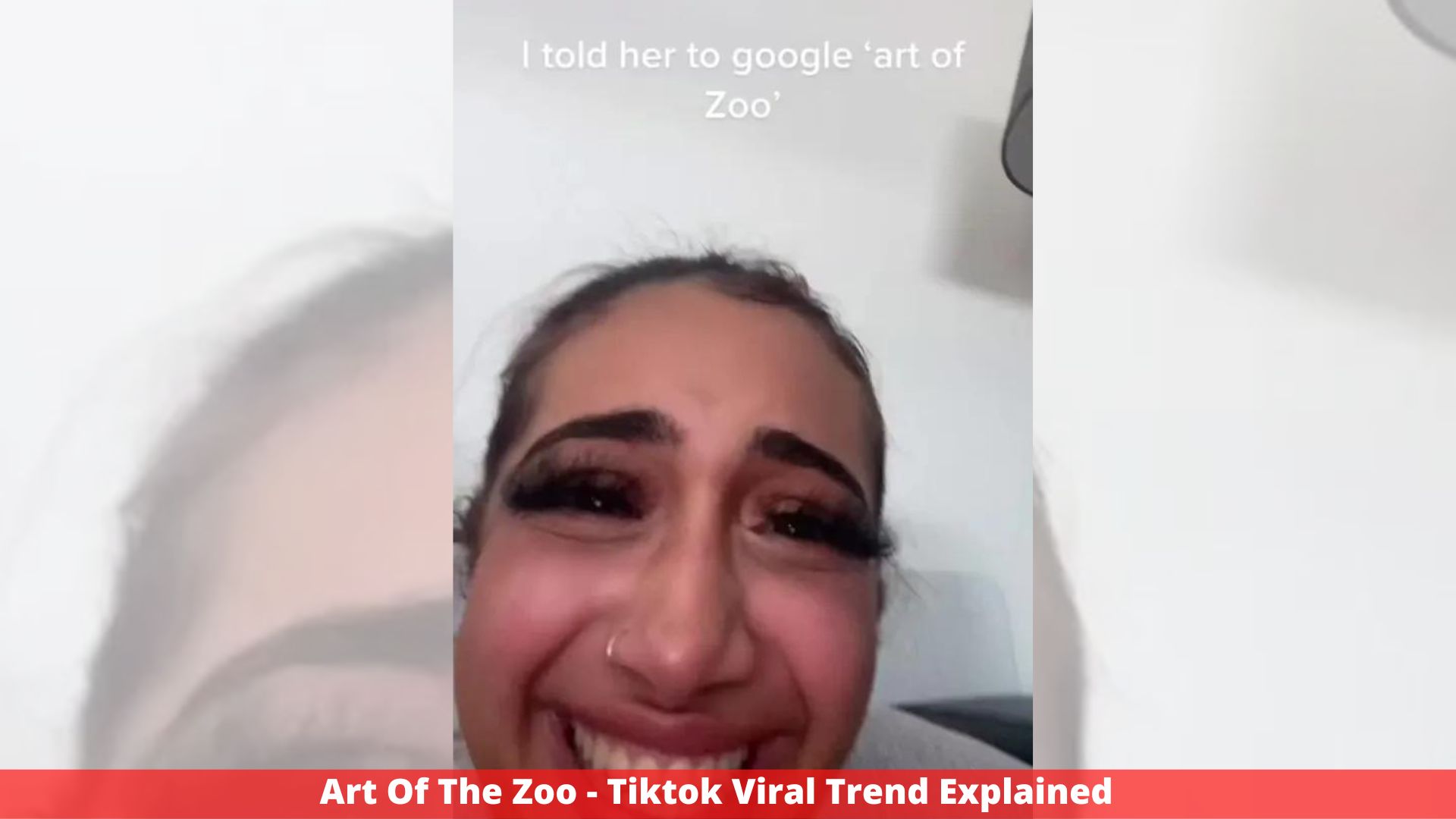Art Of The Zoo - Tiktok Viral Trend Explained