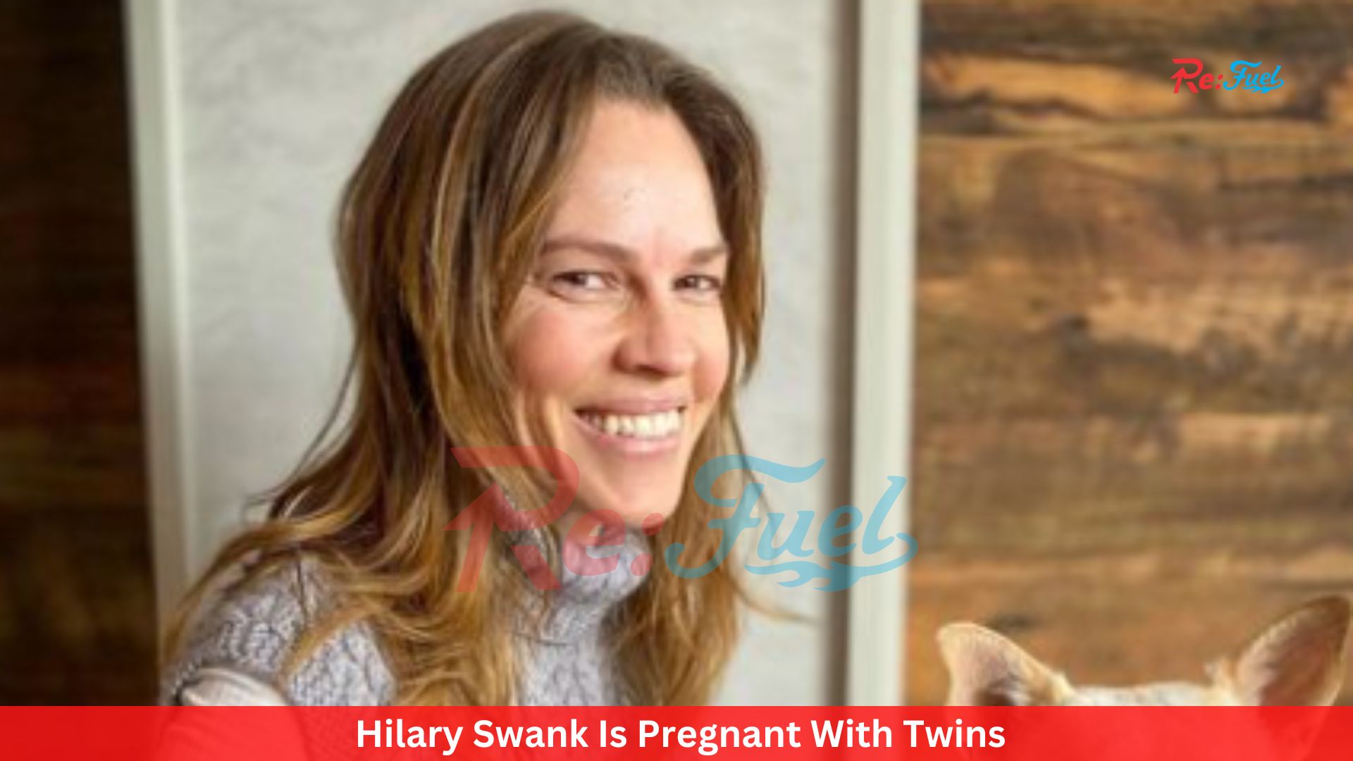 Hilary Swank Is Pregnant With Twins