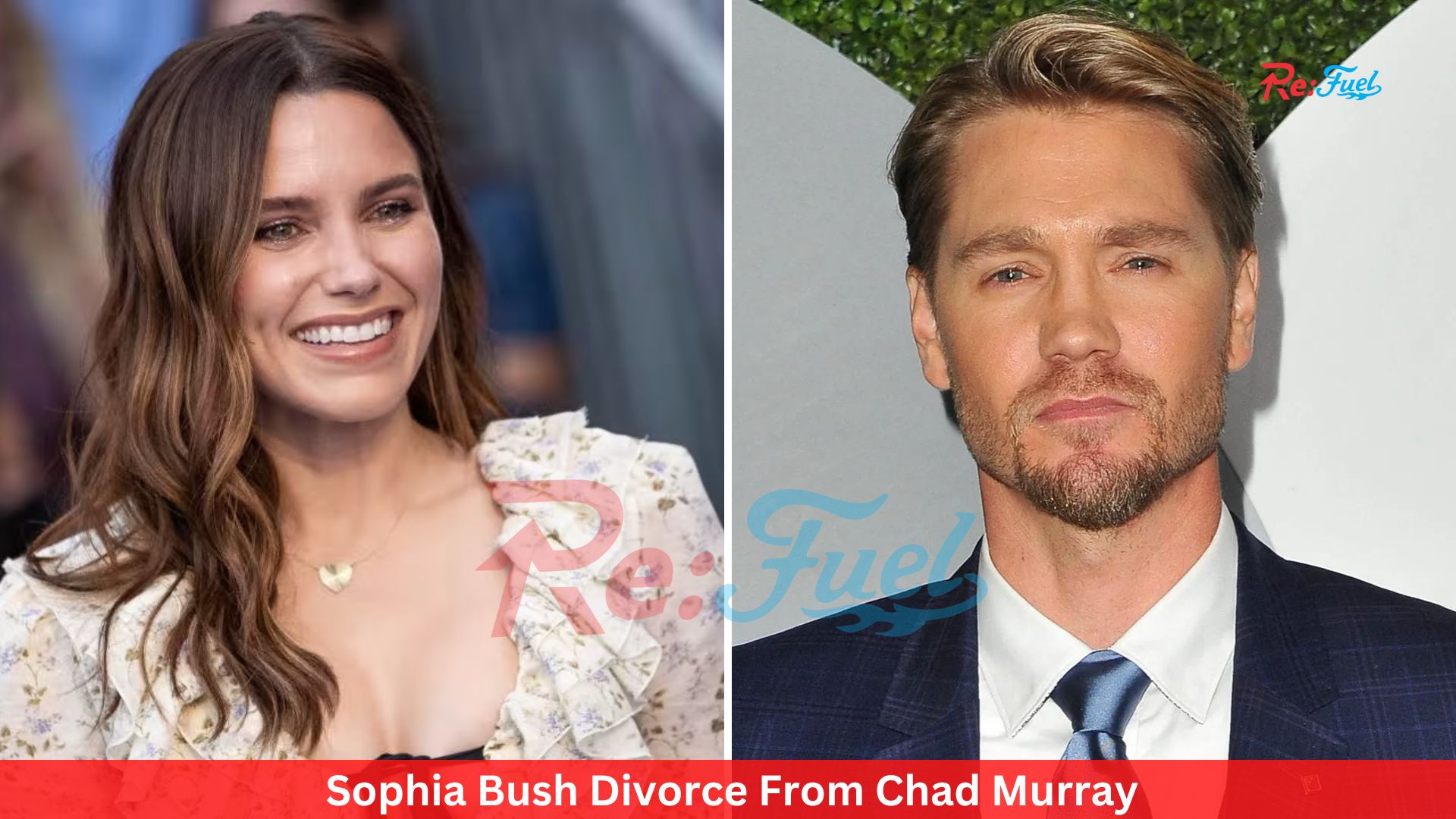 Sophia Bush Divorce From Chad Murray- Everything You Need To Know