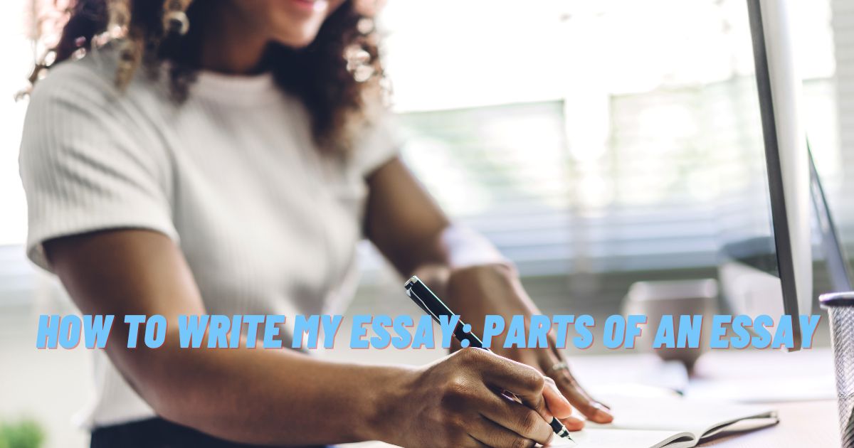 How to write my essay: parts of an essay