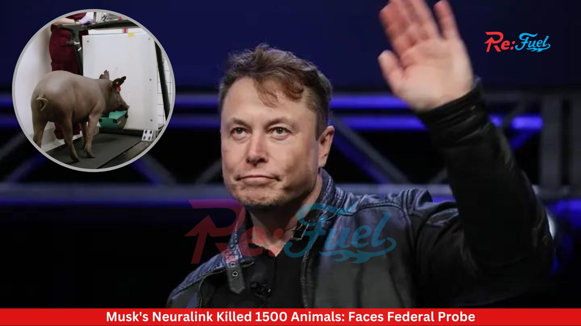 Musk's Neuralink Killed 1500 Animals: Faces Federal Probe