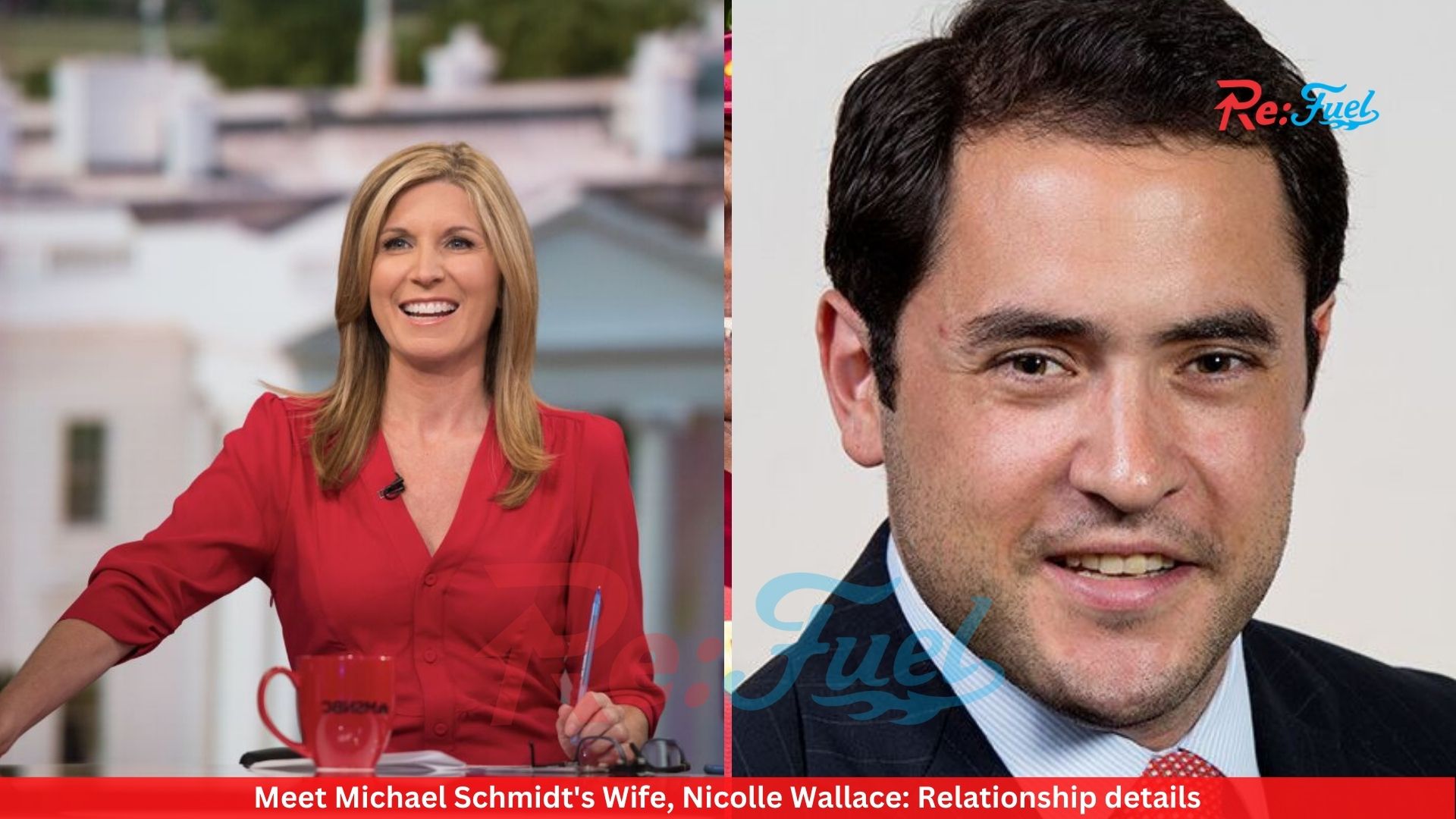Meet Michael Schmidt's Wife, Nicolle Wallace: Relationship details