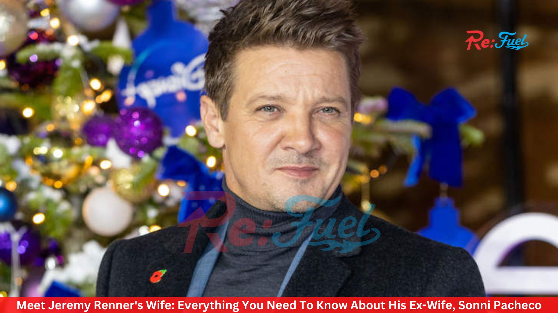 Meet Jeremy Renner's Wife: Everything You Need To Know About His Ex-Wife, Sonni Pacheco