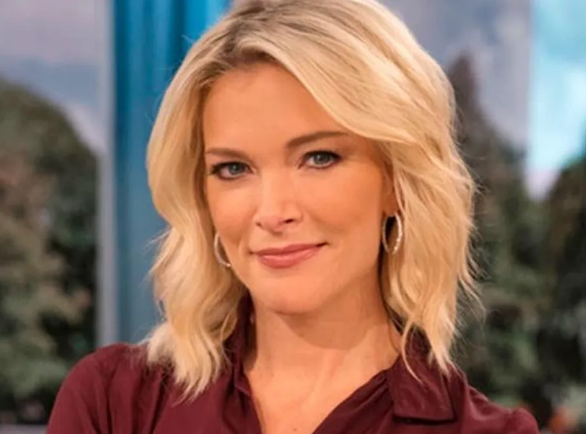 Is Megyn Kelly's Gay? Here's The Truth Behind Her Allegation