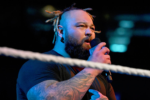 Bray Wyatt's Illness: Know About His Net worth And Relationship Status 