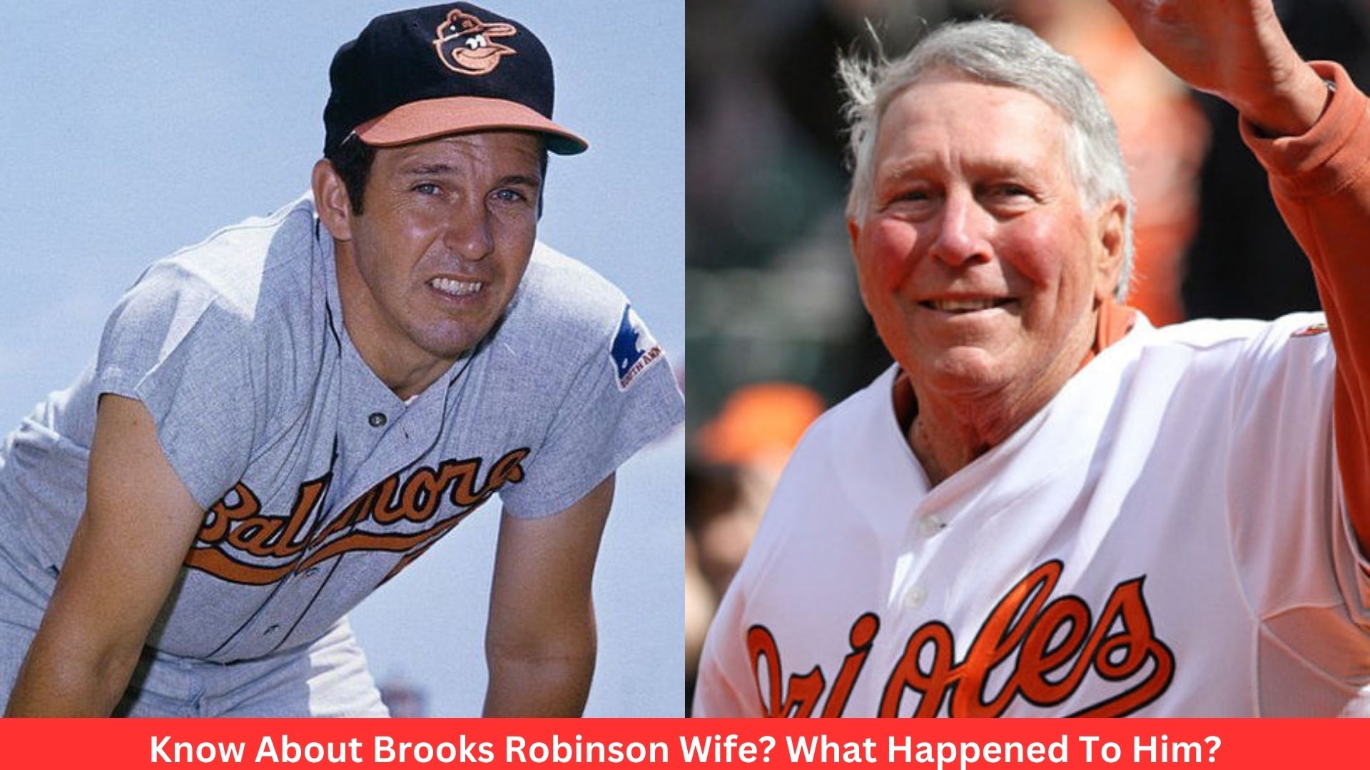 Know About Brooks Robinson Wife? What Happened To Him?