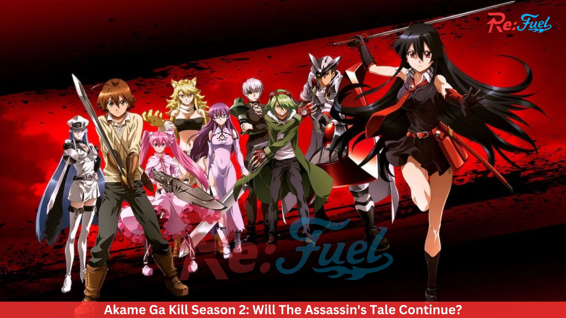 Akame Ga Kill Season 2: Will The Assassin's Tale Continue?