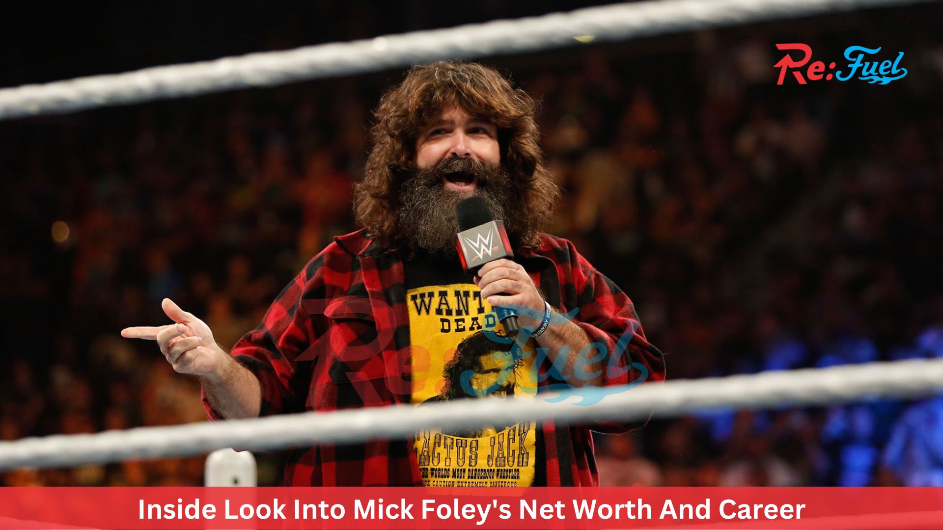 Inside Look Into Mick Foley's Net Worth And Career
